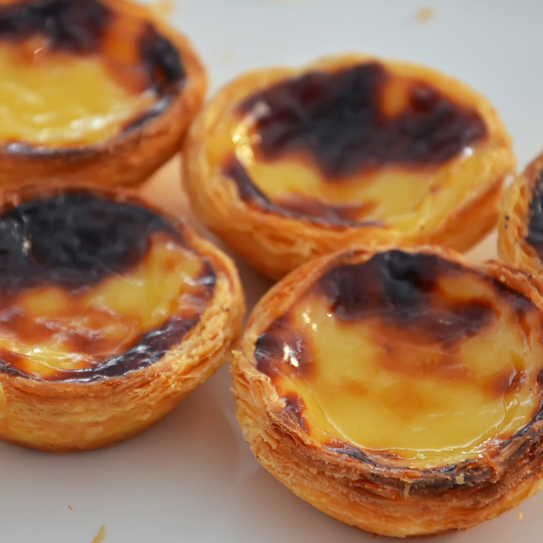 boite de 9 pasteis de nata ALMA PORTUGUESA
